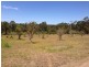 Logan Reserve QLD 4133