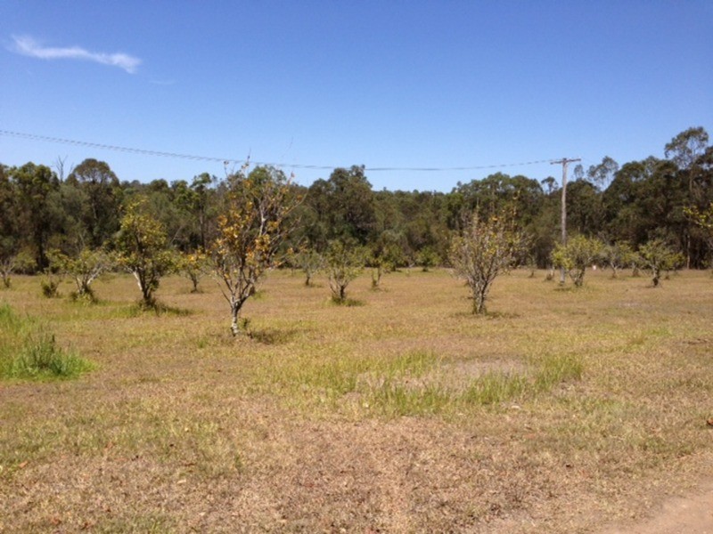Logan Reserve QLD 4133
