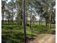 1102 Chambers Flat Road, Chambers Flat QLD 4133