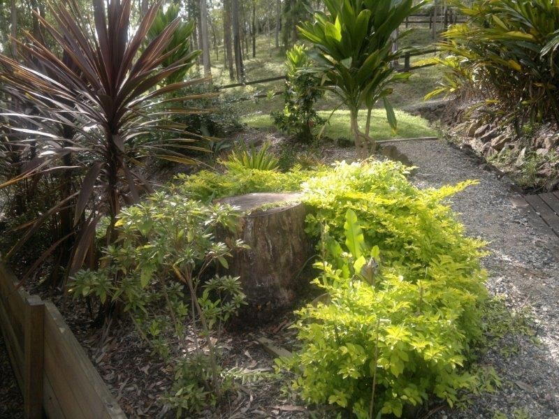 238 Marks Road, Jimboomba QLD 4280