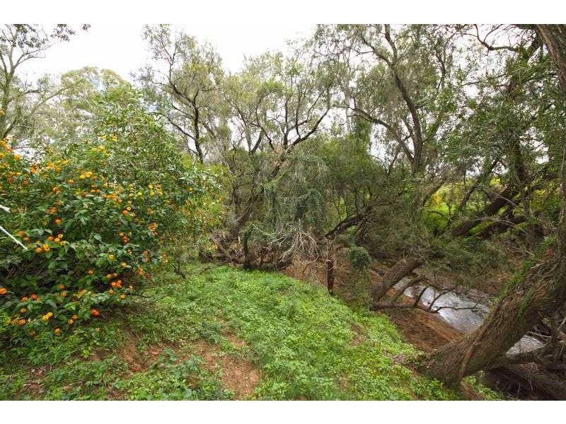 Allenview QLD 4285