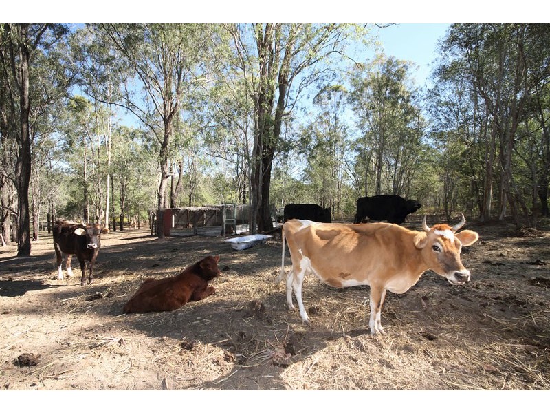 Jimboomba QLD 4280