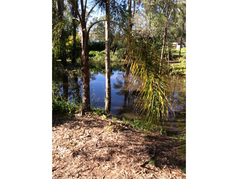 11 Arthy Drive, Cedar Grove QLD 4285