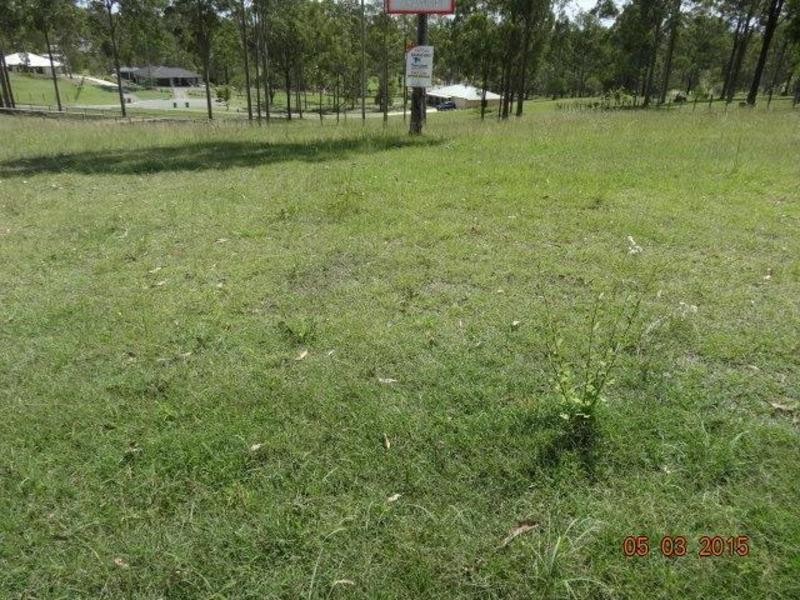 Jimboomba QLD 4280