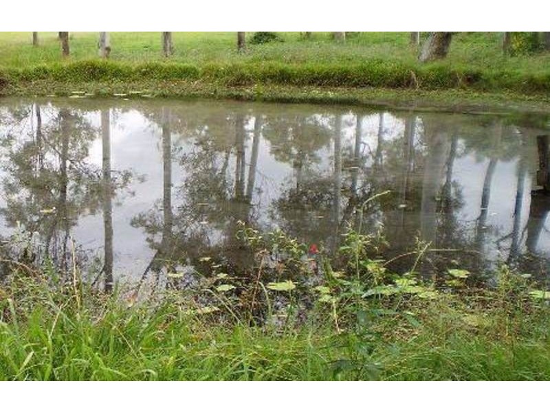 485 Stoney Camp Road, Greenbank QLD 4124