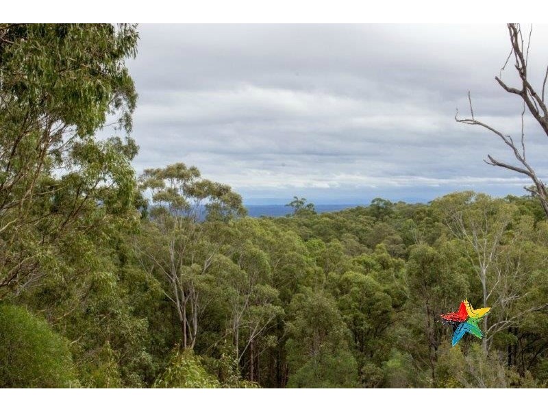 134-144 Barnes Road, Cedar Vale QLD 4285