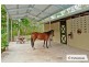 209 Davidson Road, Jimboomba QLD 4280