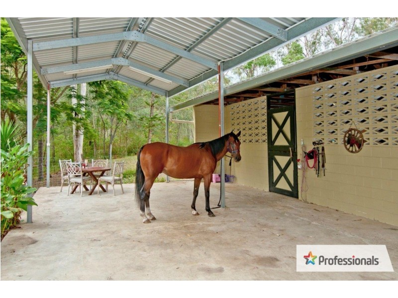 209 Davidson Road, Jimboomba QLD 4280