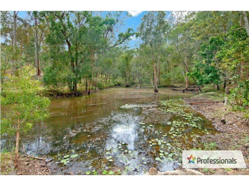209 Davidson Road, Jimboomba QLD 4280