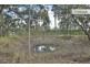 525 Millstream Road, Cedar Vale QLD 4285
