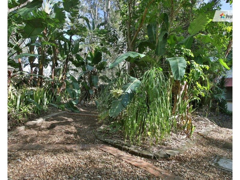 56 Marjorie Court, Jimboomba QLD 4280