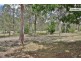 316  Mundoolun Road, Jimboomba QLD 4280