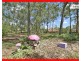 11 Satinash Close, New Beith QLD 4124