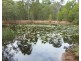 89-99 Leopardwood Road, Cedar Grove QLD 4285