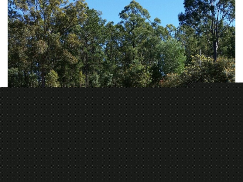 89-99 Leopardwood Road, Cedar Grove QLD 4285