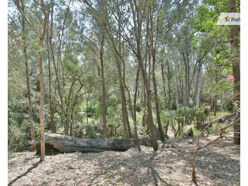 24 Murdoch Court, Mundoolun QLD 4285