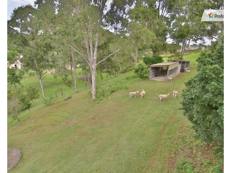 230 Bamboo Drive, Woodhill QLD 4285