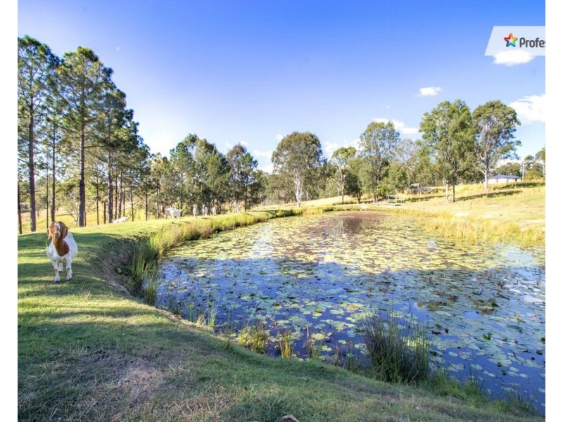 20-26  Coonan Road, South Maclean QLD 4280