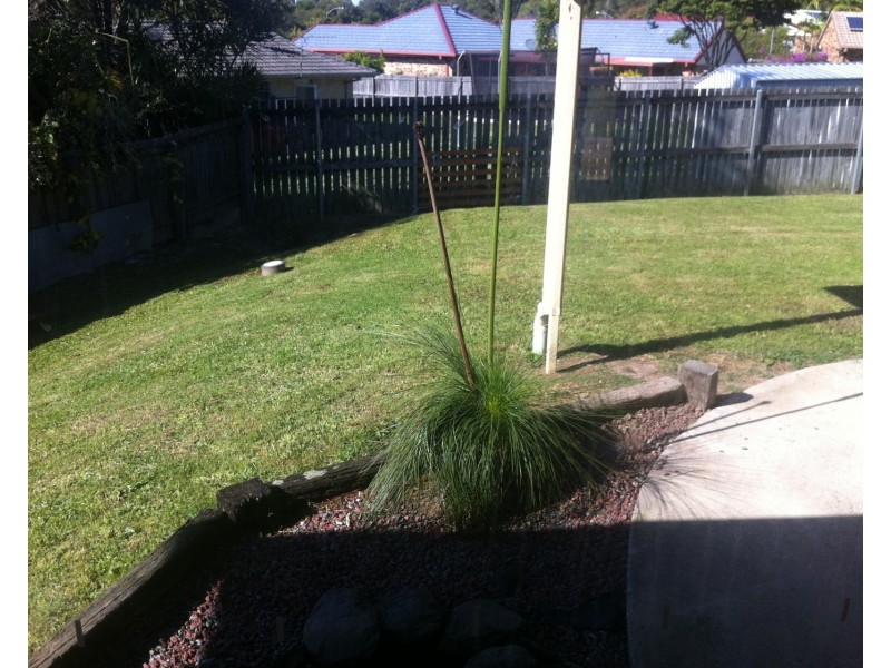 6 Fuji Close, Southport QLD 4215