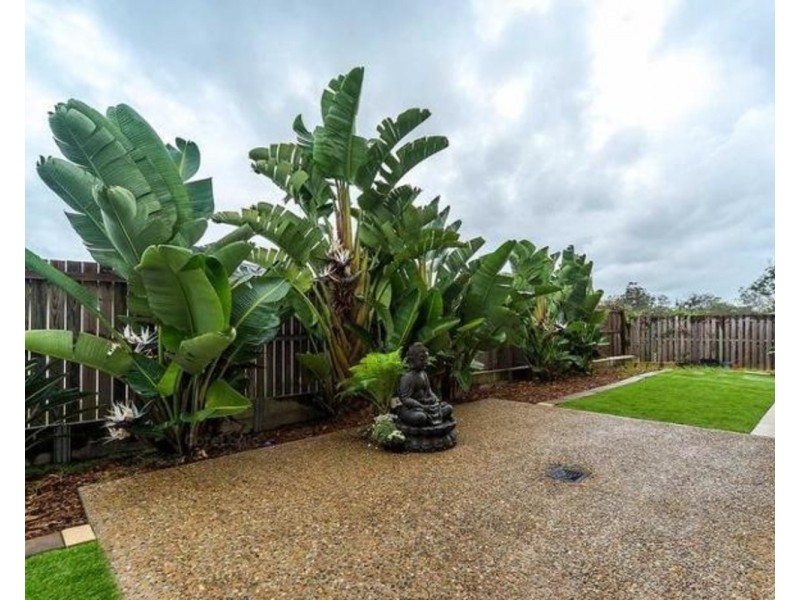 16 Cirrus Way, Coomera QLD 4209