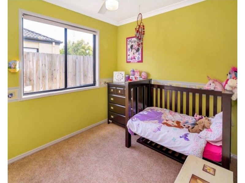 16 Ascendancy Way, Upper Coomera QLD 4209