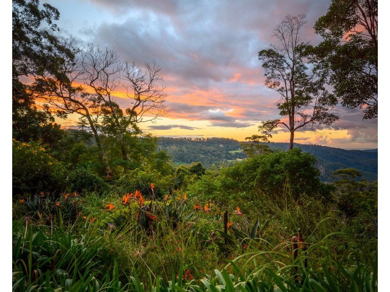 87-95 Alpine Terrace, Tamborine Mountain QLD 4272