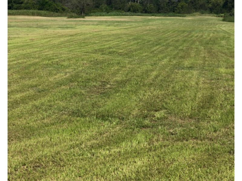 38 Dulwich Street, Loganholme QLD 4129