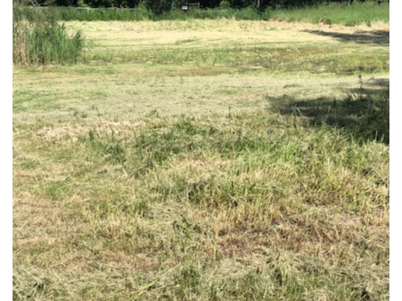 38 Dulwich Street, Loganholme QLD 4129