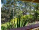 18 Bridle Lane, Molendinar QLD 4214