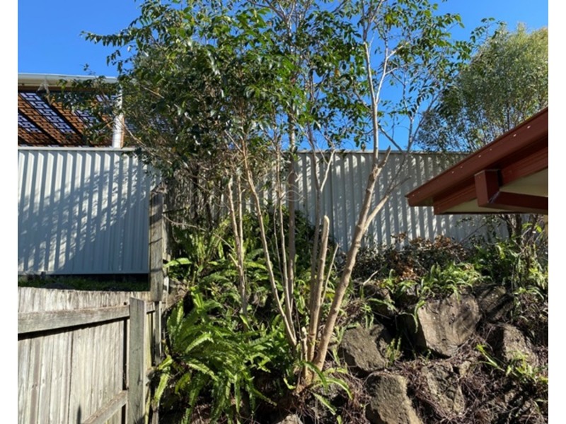 91 Crestwood Drive, Molendinar QLD 4214