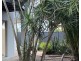 14 Fortuna Place, Parkwood QLD 4214