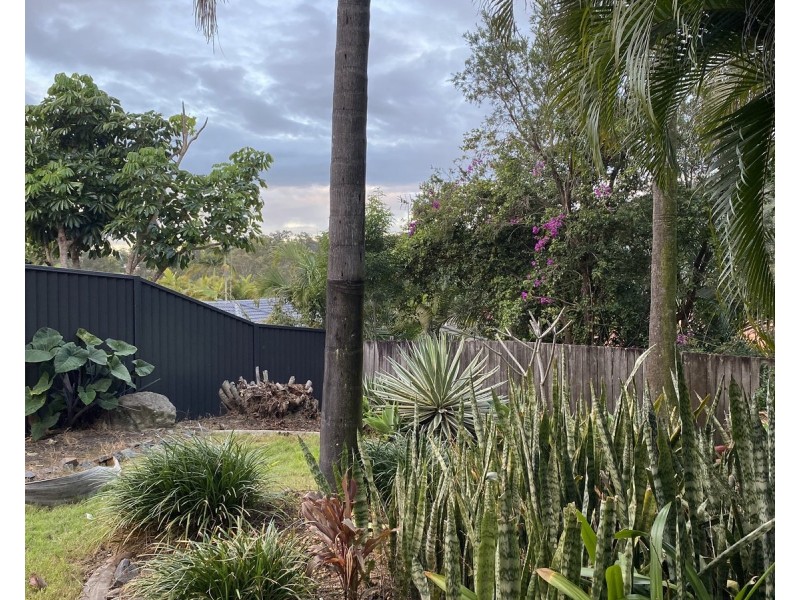 14 Fortuna Place, Parkwood QLD 4214