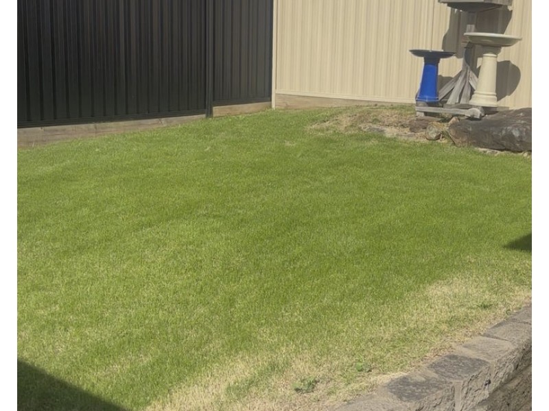Parkwood QLD 4214