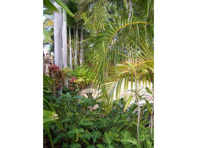 5 Erave Avenue, Runaway Bay QLD 4216