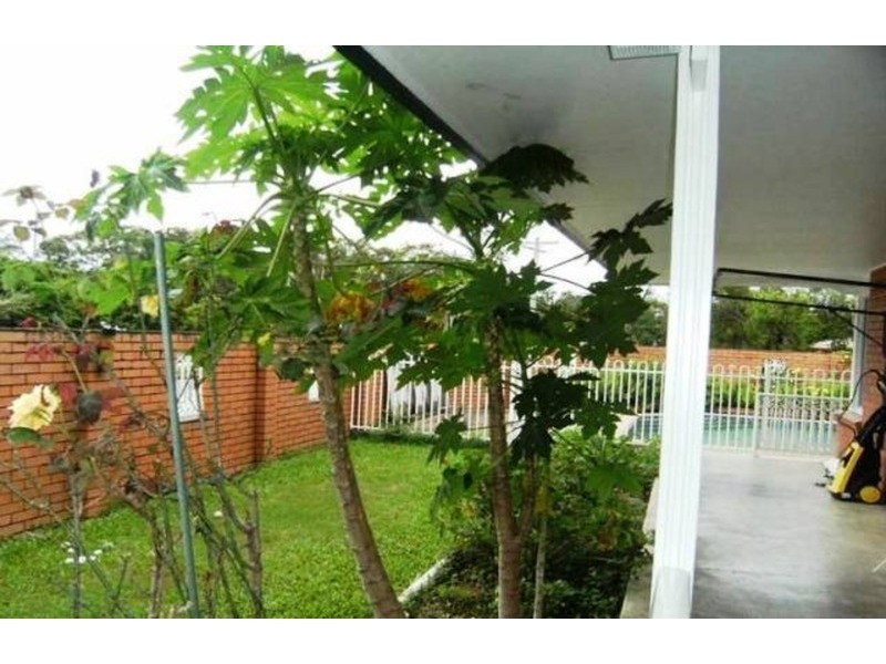 16 Jippi Avenue, Southport QLD 4215