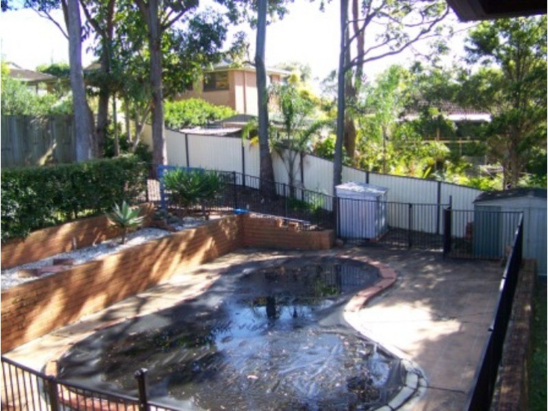 181 Cotlew Street, Ashmore QLD 4214