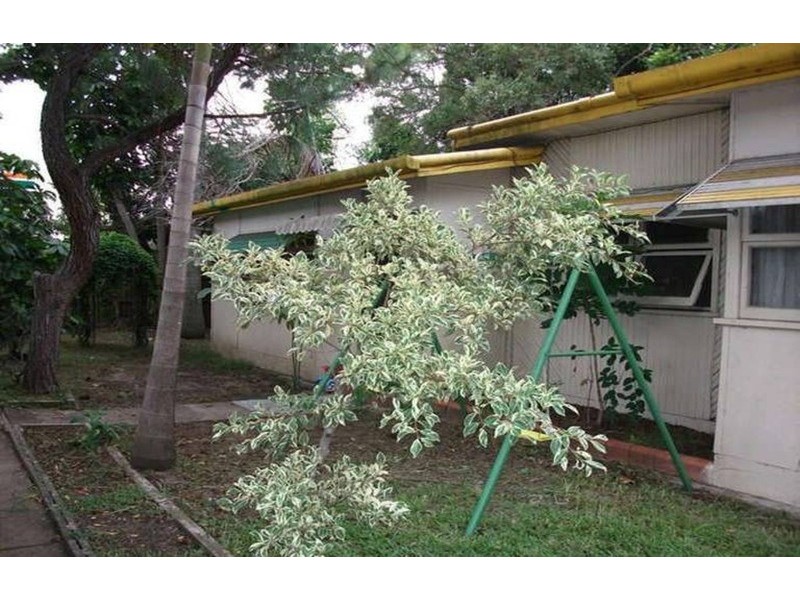 8 Sunshine Court, Labrador QLD 4215