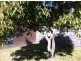 Molendinar QLD 4214