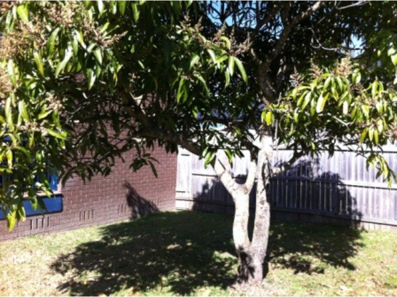 Molendinar QLD 4214