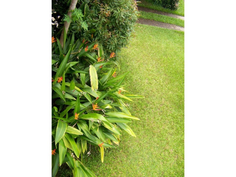 3 Yangoora Crescent, Ashmore QLD 4214