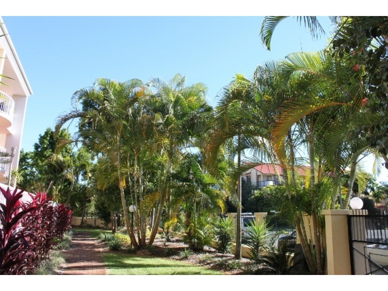 23/12 Dalpura Street, Surfers Paradise QLD 4217