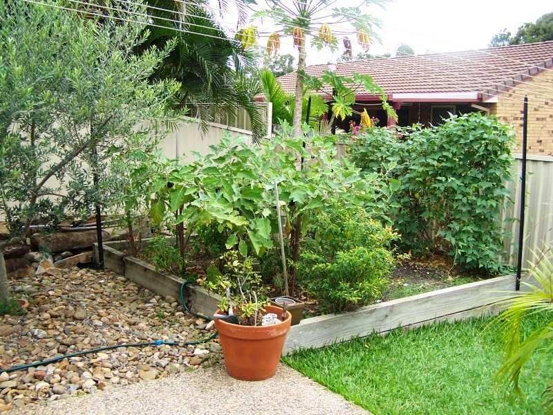 112 Pappas Way, Carrara QLD 4211