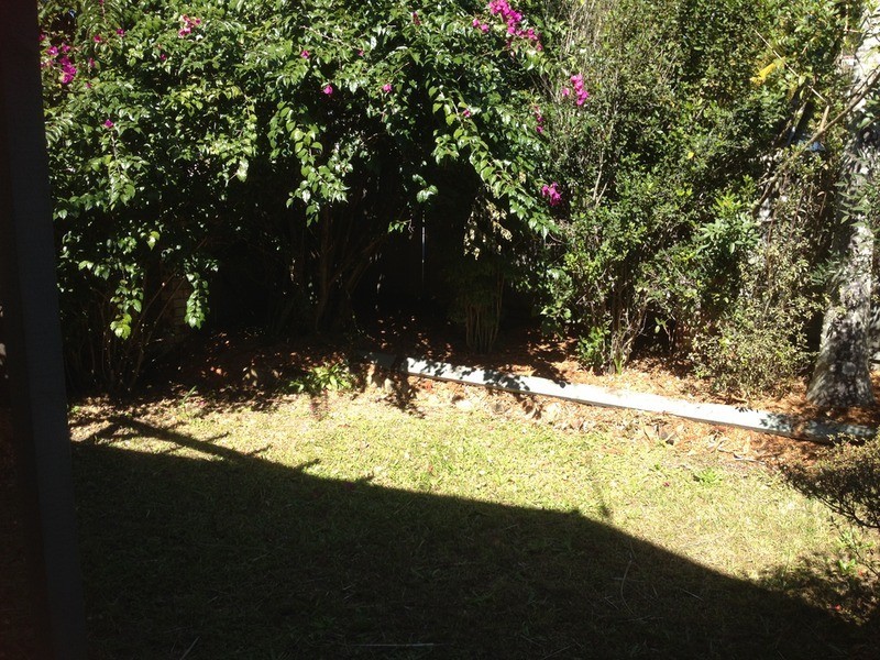 29 Sungold Avenue, Southport QLD 4215