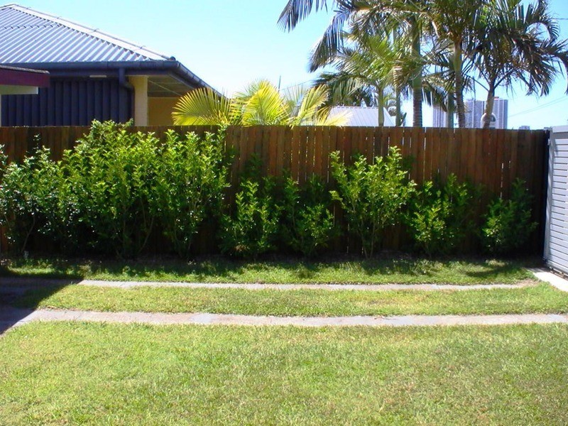 107 Johnston Street, Southport QLD 4215