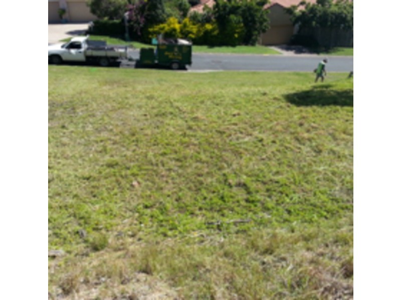 3 Hellman Street, Molendinar QLD 4214