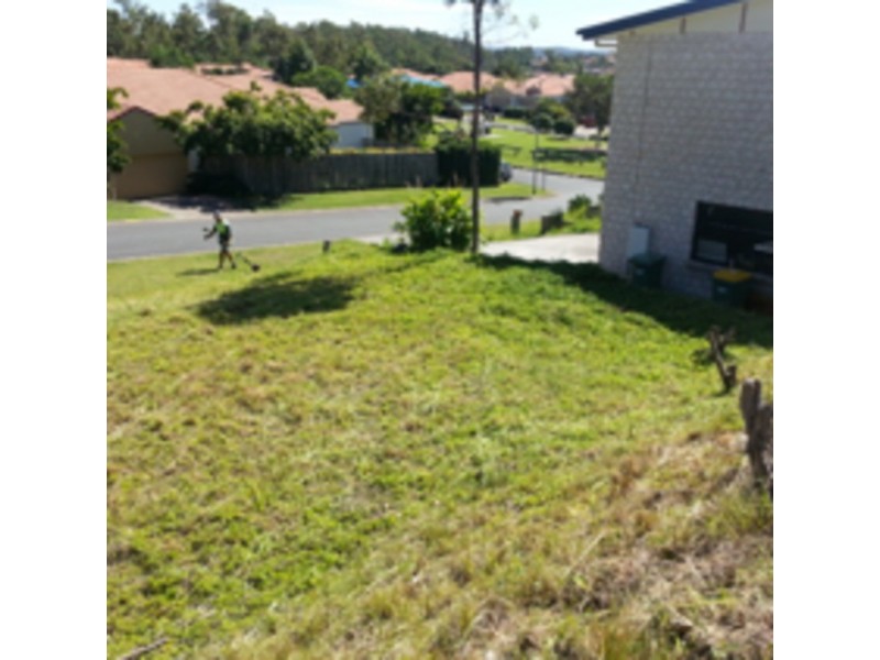 3 Hellman Street, Molendinar QLD 4214