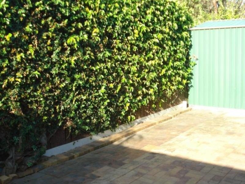 Labrador QLD 4215