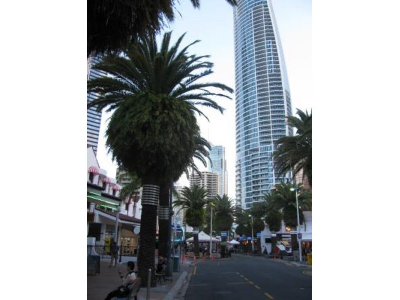 116/40 The  Esplanade, Surfers Paradise QLD 4217