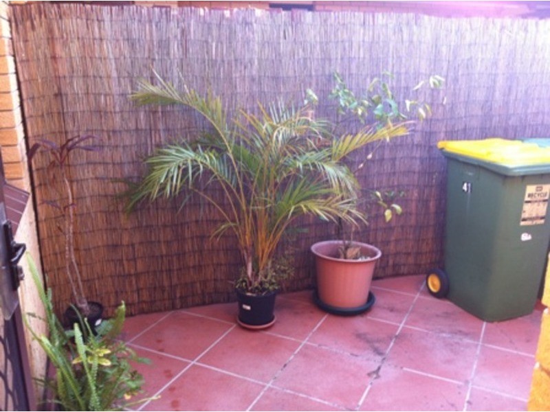 1/41 Corunna Street, Ashmore QLD 4214