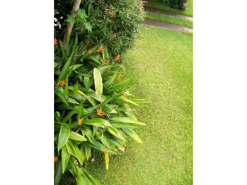 3 Yangoora Crescent, Ashmore QLD 4214